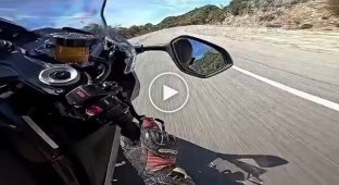 An action-packed accident