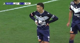 A flock of birds landed on a stadium during a football match.