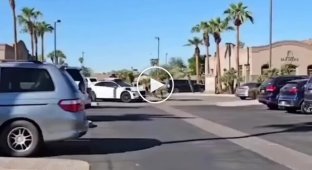 Robotaxi gave glitch and started to run in circles around the ring road