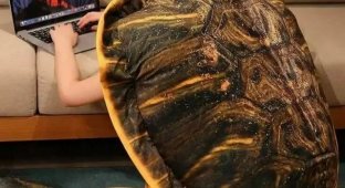 Панцирь-подушка - ідеальний подарунок для інтроверта (3 фото)