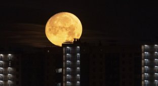 Residents share footage of the "Blue Moon": the next time they will see it only in 2037 (14 photos + video)