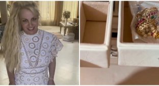 Britney Spears said she was robbed, but fans suspect an exacerbation of the disease (2 photos + 2 videos)