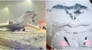 In Germany, the plane froze to the runway (3 photos + 2 videos)