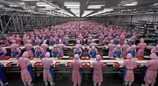  Работа на огромных китайских фабриках (17 Фото)