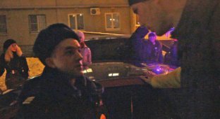 Как полицейский испортил предложение руки и сердца (7 фото + видео)