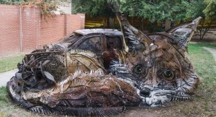 Скульптуры животных из мусора и хлама (35 фото)