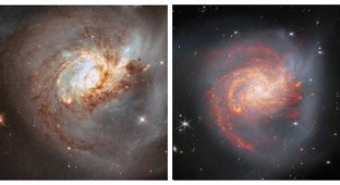 Telescope "James Webb" captured the result of the collision of two galaxies (2 photos + 1 video)