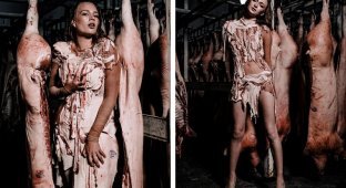 Украинские модели позируют со свиными тушами (20 фото)