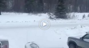 Creepy howl of an unknown animal in Canada