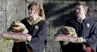The Wizarding World of Harry Potter (13 photos)