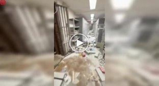 Грабители захватили 25 заложников в банке Неаполя и скрылись через канализационный туннель