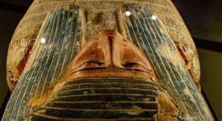 Scientists have uncovered the contents of six tiny Egyptian coffins (4 photos)