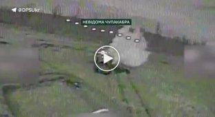 Сили оборони знищили ремонтно-евакуаційний тягач ВТ-55А, вантажівки, гармати та склади ППМ