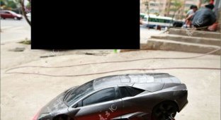 Lamborghini Reventon Kolhoz Edition (8 фото)