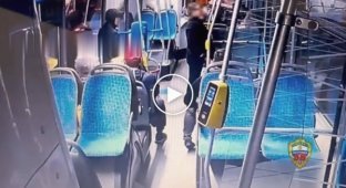 The man stole a mobile phone from the purse of the passenger sitting next to him