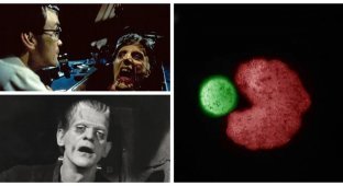 Вчені відкрили «третій стан» - за межею життя та смерті (8 фото + 1 відео)