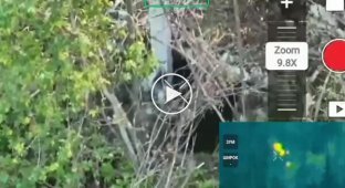 Пограничники уничтожили два вражеских укрытия и плавсредство в Курской области