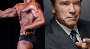 Schwarzenegger's son has won several victories at the NPC Natural Colorado State tournament (7 photos)