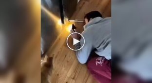 Когда кто-то говорит, что котики бесполезны