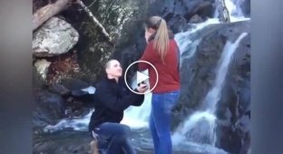 So don't let anyone get you. The waterfall shared the joy of the future newlyweds