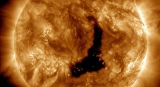 На Солнце образовалась дыра в пять раз больше Юпитера (5 фото + 1 видео)
