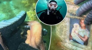 Восьминіг привів аквалангістку до підводного пам'ятника (5 фото + 1 відео)