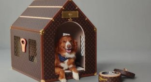 You Won't Believe How Much a Louis Vuitton Dog House Costs (3 photos)