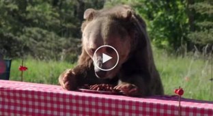 Speed ​​​​sausage eating championship with a bear