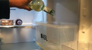 Праздничный лайфхак для владельцев холодильников с диспенсерами (2 фото)