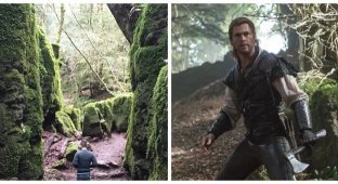 Пазлвуд – таинственный лес, вдохновивший Толкина на создание «Властелина колец» (16 фото + 1 видео)