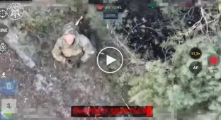 Оккупант поднимает руки вверх и сдается в плен украинскому дрону