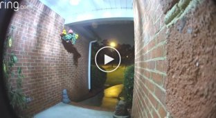 The man did not expect to see a snake near his doorbell