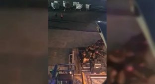 Шум из грузового отсека: Boeing 777 American Airlines вернулся в аэропорт из-за попытки нелегального проникновения (2 фото + 2 видео)