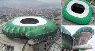 В Турции построили стадион в форме крокодила (5 фото + 1 видео)