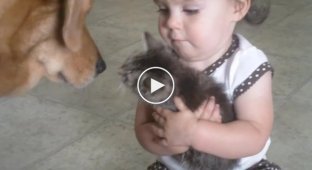 This little girl was given a little kitten