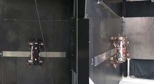 Scientists have developed a robops that can walk on the ceiling (5 photos + 1 video)