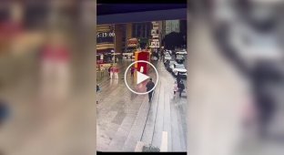 A lost dog smells its owner in a crowded square