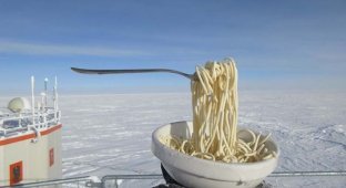 Вот как выглядят спагетти при 60 градусах ниже 0 (5 фото)