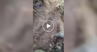 The 25th Airborne Brigade "Sicheslav" shows a trench occupied by Russian occupiers