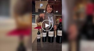 All Bottle Sizes of French Bordeaux Wines
