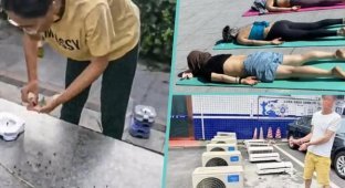 A stranger released dozens of cockroaches on the territory of a residential complex (2 photos + 1 video)