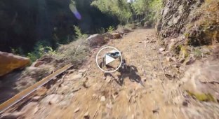 Робопес на колеса, здатний долати складну місцевість