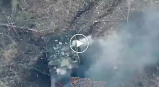 Destruction of enemy equipment and infantry in Kursk region by drones of the 80th Airborne Assault Brigade