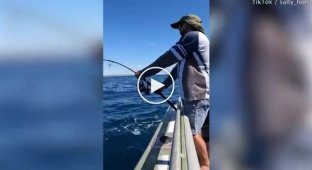 В Австралии рыбак поймал окуня, которого прозвали Кодзилла