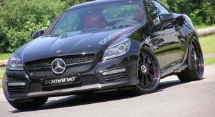 Ателье Domanig прокачали Mercedes-Benz SLK 55 AMG (10 фото)