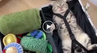 When packing your suitcase, do not forget the most important thing