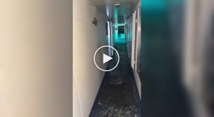 A Tourist Strolled the Corridor of a Sinking Ship