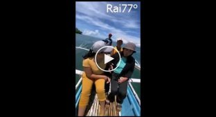 Рыба «отжала» телефон у беспечной туристки, делающей селфи на лодке