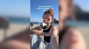 Eagle stole a girl's phone while filming a video on a social network