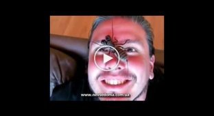 Ужасный жук на голове